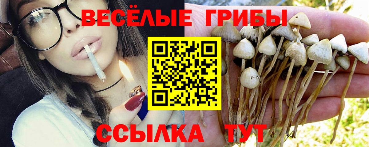 Галлюциногенные грибы мицелий  Вход с VPN  Избербаш 